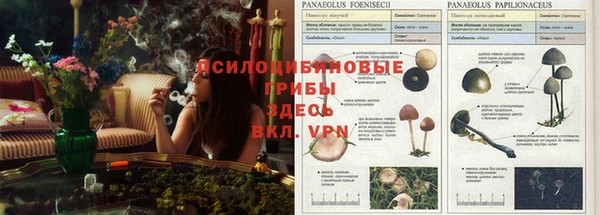 прущие крисы Волоколамск