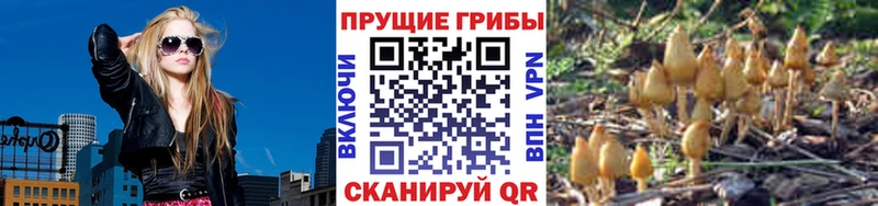 Псилоцибиновые грибы мицелий  Дзержинский 