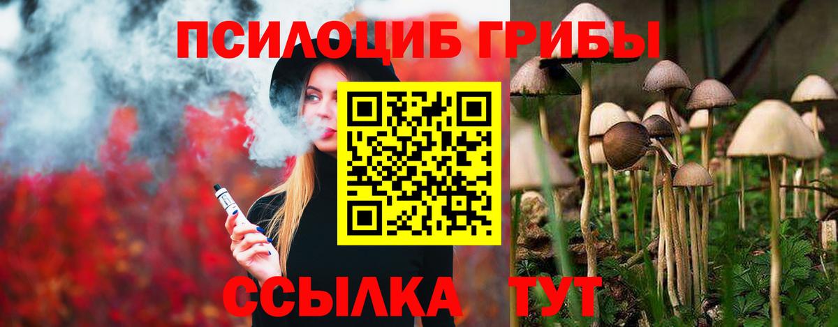 Псилоцибиновые грибы прущие грибы Дзержинский