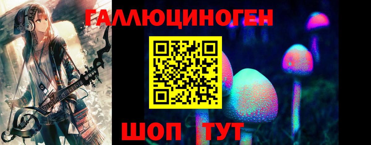 Псилоцибиновые грибы Psilocybine cubensis  Дзержинский  как найти   Псилоцибиновые грибы Psilocybine cubensis 