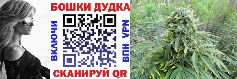 OMG маркетплейс  Дзержинский  Шишки марихуана сатива  цена наркотик 